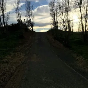 Lots of hills to maximize workout