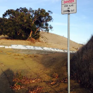 Interesting sign, I decided to stay alive so I didn't check it.