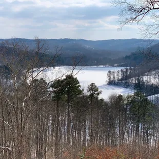 a view of a lake surrounded by trees