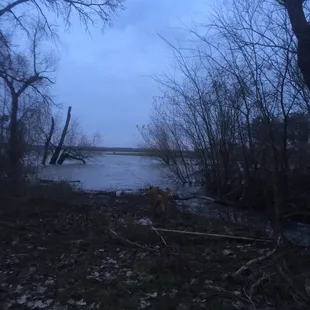 So much trash all over the area, very disappointing.