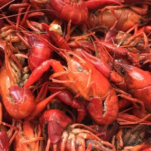 Crawfish - January 2017