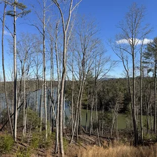 View from the visitor center