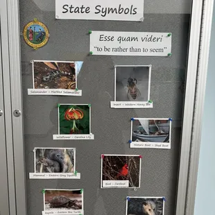 Inside the park office / visitors center