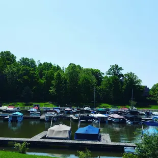 Sunny day at lake lemon marina.