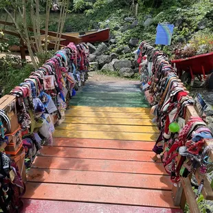 Lake Lure Flowering Bridge