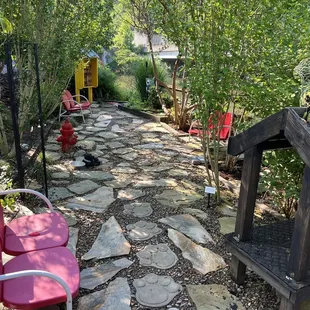 The dog garden - nice and shady here