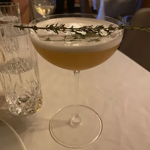 Summer thyme