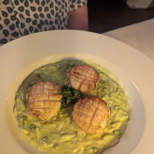 Scallops
