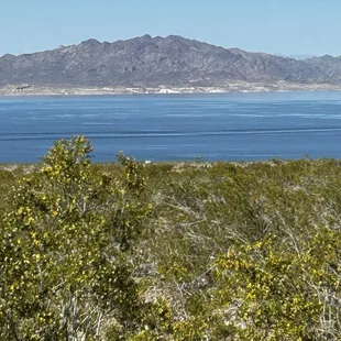 Lake Meade