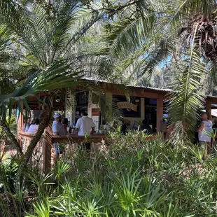 Tiki bar under the palms