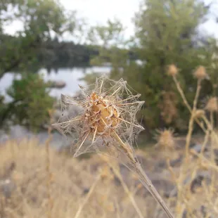 lake natoma