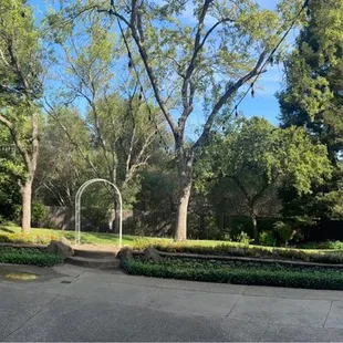 Their courtyard garden