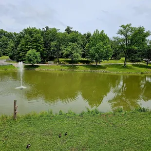 The "lake". I call it a pond but whatever.