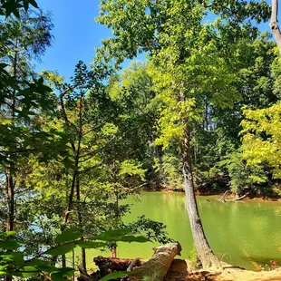 Lake Trail