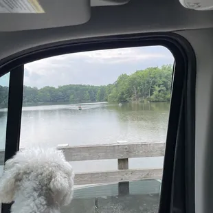 Lake view