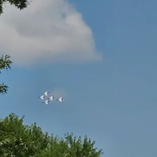 Thunderbirds