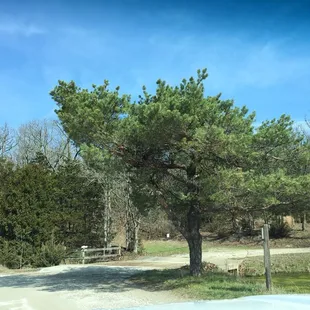 Entire campground needs tree trimming. Be very careful