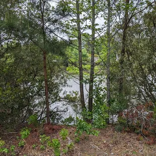 This is one of several views of the lake at the park.  Photo taken April 22, 2023.