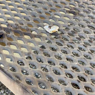 I have no idea what this is....