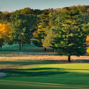 Hole #11