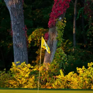 Hole #9