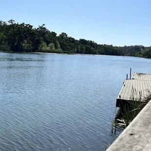 You can bring your own kayaks, canoes or rent some