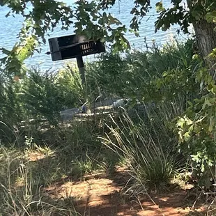 Grill covered by grass and wasps