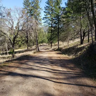 Trail loop