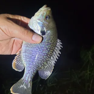 Beautiful at almost 11 pm one evening