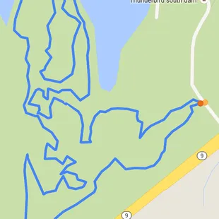 The path we took hiking