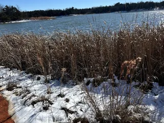 George Miksch Sutton Urban Wilderness Area