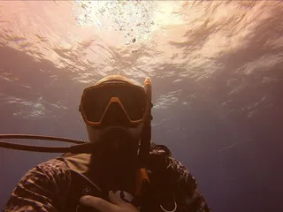 Aquatic Dreams