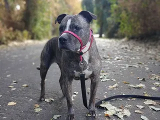 Caswell Memorial State Park
