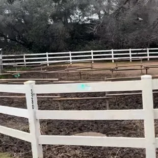 Always just standing in mud, excrement with no dry land or grass to lay down or shelter to protect.