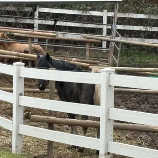 No shelter from rain, storms, wind