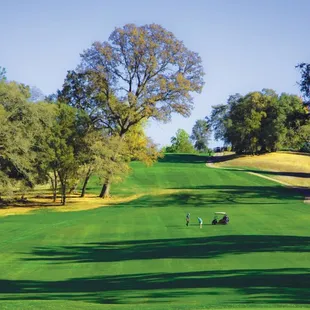 a view of a golf course