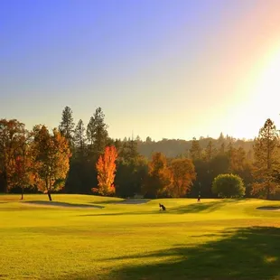 a golf course at sunset