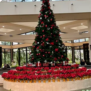 christmas tree