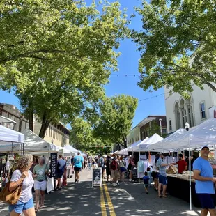 The Saturday Lakeland Market goes on for several blocks!