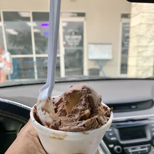 a hand holding a cup of ice cream