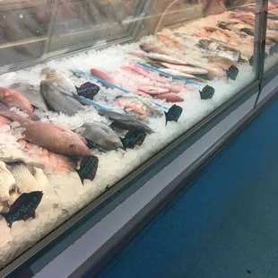 Fresh fish