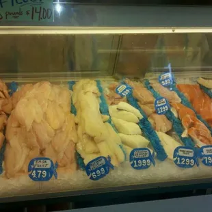 a variety of fish in a display case