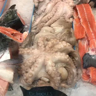 a variety of seafood on ice
