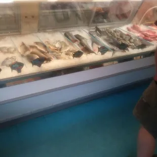 a man standing in front of a fish display