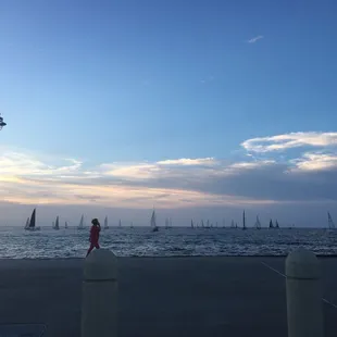 Sailboats out in full force