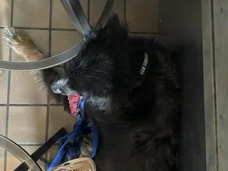 Captain's Bar & Grill