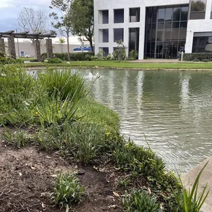 Cute view and benches near by outside