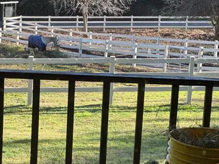 Lake View Ranch Rides & Carriage Company