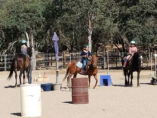 Healing Pastures At C-Horse Ranch