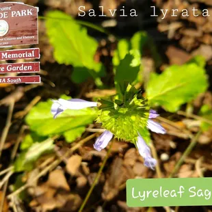 Some people will never like you because your spirit irritates their demons.. So Walk in Beauty #yelpjax #costUnothing2Bkind